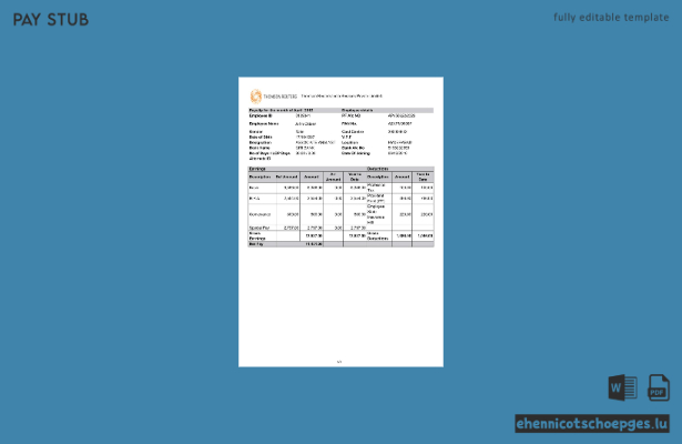 Gehaltsabrechnungsbeispiel von Thomson Reuters India Services Private Limited, Indien